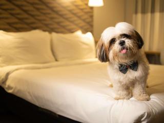 ibis Juazeiro do Norte - 9