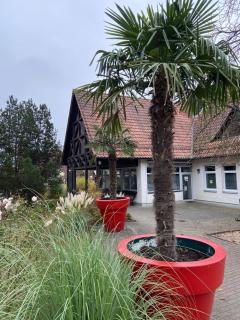 NATURAMA Brombachsee Trollwald - 2