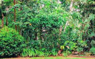 Sathsara Villa Rooms - 6