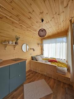 Retezat83 Sunshine tiny home - 5