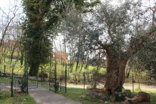 Alloggio da Laura - 1