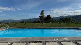 GZ Farm La Union - 8