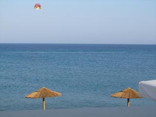 Continental Palace - 2