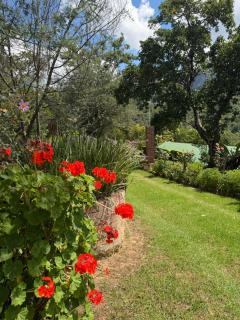 Valley Lodge Nyanga - 2