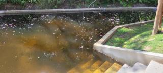 Chalé à 2hrs de SP - Natureza, Conforto, Trilhas e Banhos Relaxantes - 7