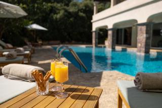 Bastide des Mimosas - 6