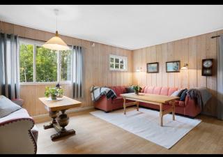 Fjellhytte Rauland - 4