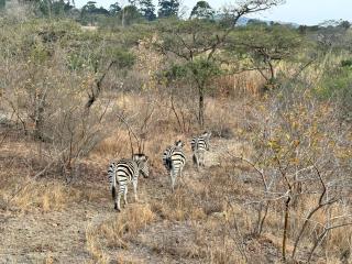 2 - 4 Sleeper Chalet - Sunset View - 3