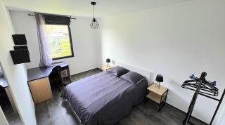 FAA'mily Home - 3 bedrooms - Offemont - 7