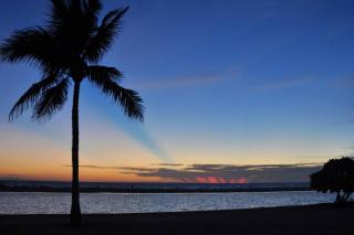 Shamron Beach Condo 507 - 8