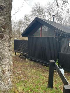 Belle 2 bedroom log cabin with hot tub, forest and loch - 1