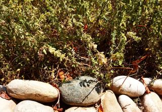 Libyan Sea Sunset - 1