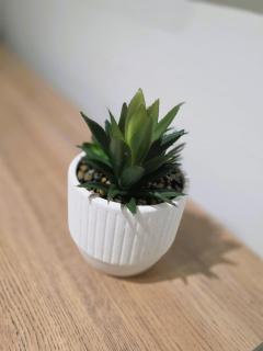 Waterfall City Lifestyle , Munyaka ,Midrand - 2