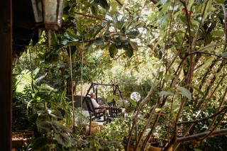 חוות טפת בגלבוע-חוויה של טבע בצפון - 3