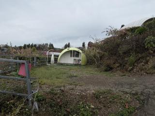 清境花鳥蟲鳴高山露營區 - 7