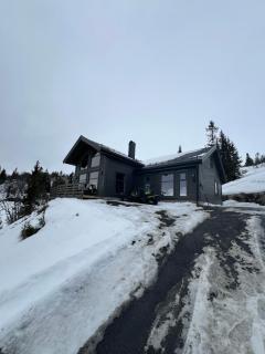 Skirvedalen - New cabin with panoramic views! - 8