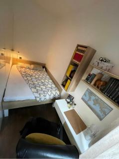 Historic and cozy Belgrade home - 6