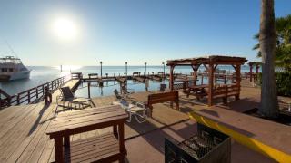 Direct Bayfront Sunsets - Boat Docks - Pool - Fish - 4