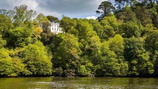 Barberry Brook at Fingals - 9