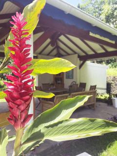 Kaz du Héron Vert - 5