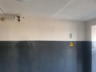 Horses Forests Lakes Shops - 1