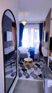 Fully furnished Studios at Tsavo Thindigua Kiambu rd - 4