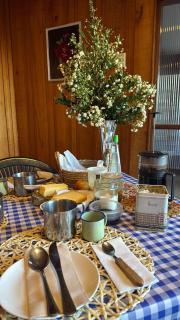 Oasis en Melipulli, Refugio Urbano - 2