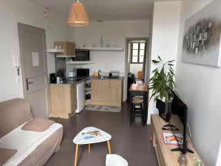 centre Pau proche Chateau et gare 33 m2 - 7