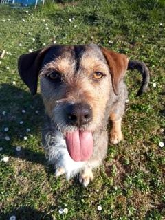 Villa Siena Bio Agriturismo private pool - 3