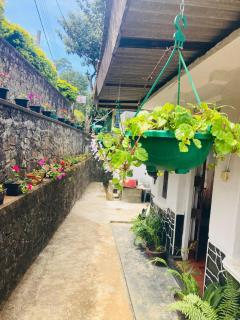 Tea Leaf Family Cottage - 2