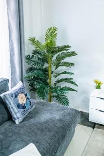 Adahs Haven Comfortable 1 Bedroom Apartment - 1