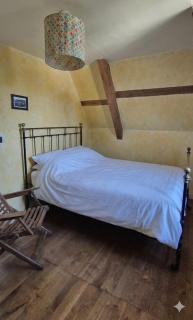 The Parrot House - 7