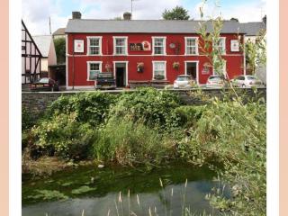 Y Llew Coch Tregaron - 0