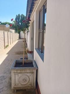 Coty and Reuben's guesthouse - 6