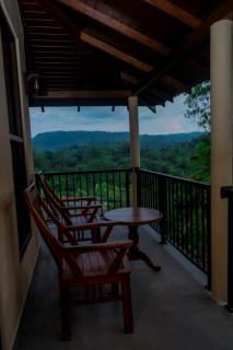 Rainforest Hide View - 0