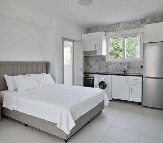 Cozy Seafront Tiny House -private yard and parking - 9