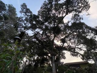 Pousada São Miguel Natureza e Descanso em Cunha SP - 4