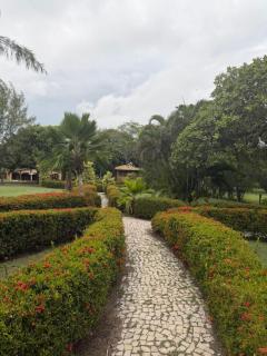 Agreste casa de praia e fazenda - 3