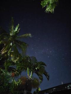 OBOĒ Gardenstē - 1