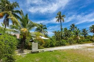 Fare Re'are'a - Charmant bungalow côté mer proche de la plage de Temae - 3