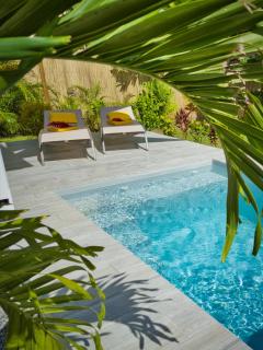 Habitation Jardin des Plantes - 5