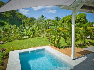 Habitation Jardin des Plantes - 3