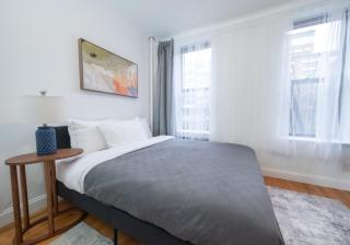 2BR APT near Mount Sinai & Metropolitan Hospitals - 7