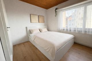 Charmantes Studio Rheinfall & Bahnhof zu Fuss - 3