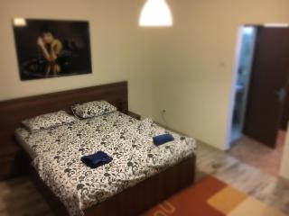 Victoriei Residence - 5