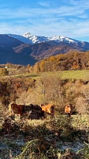 Chalet Bella Rosa - 2