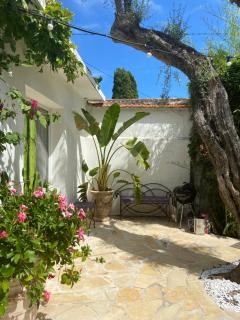 Cap d'Antibes 50m from the beach 3 bedrooms/Pool - Antibes - 3