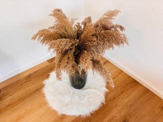 Bodensee Urban Living - Apartment mit Balkon & Parkplatz - 4