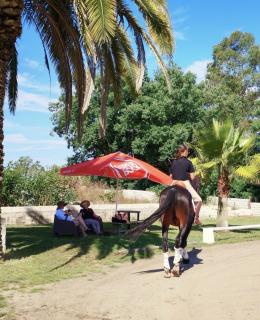 Equiliberdade - 1
