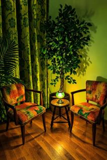 Les 2 Drôles d'Oiseaux - 7